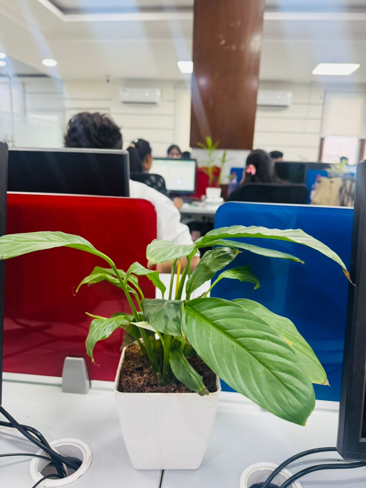 Office Image 2